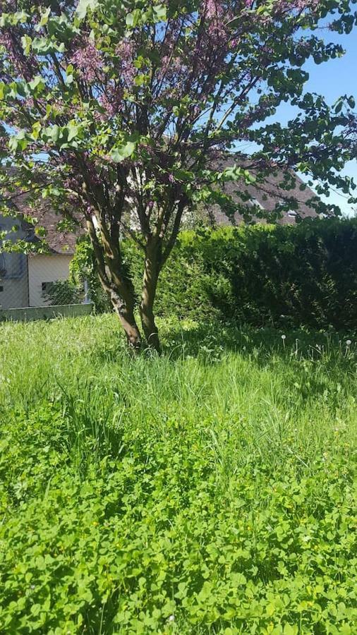 Maison de campagne à 1h20 de PARIS Saint-Hilaire-les-Andresis Exterior foto